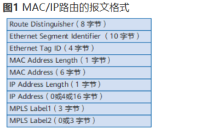 image-20230126212428010