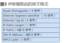 image-20230131220410404