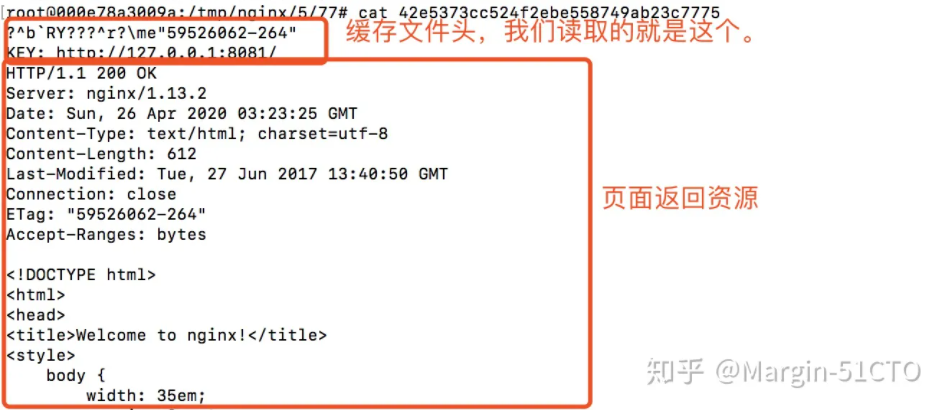 image-20230716195429684