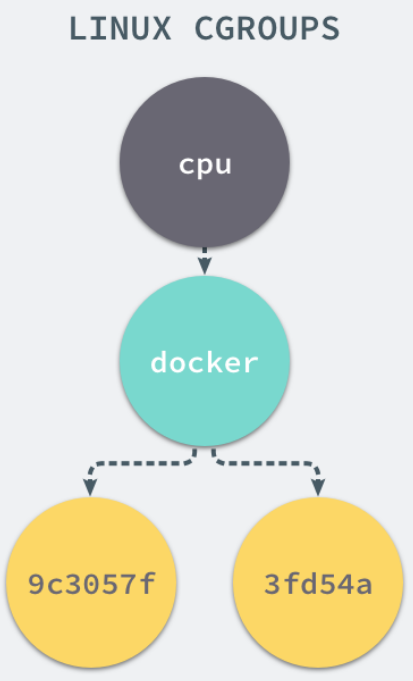 image-20230810011242761