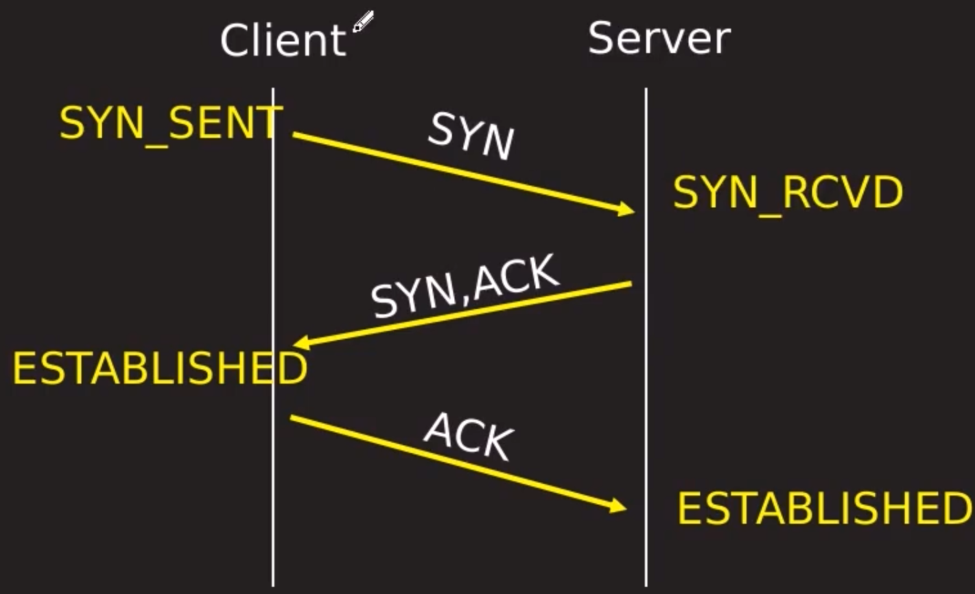 image-20240207154101638