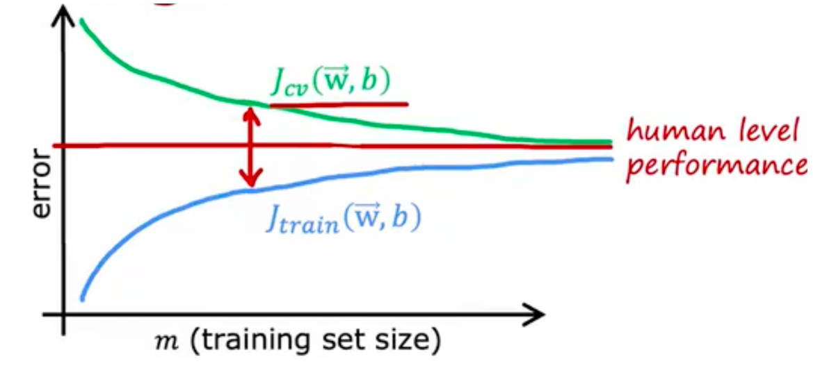 image-20250521004601410