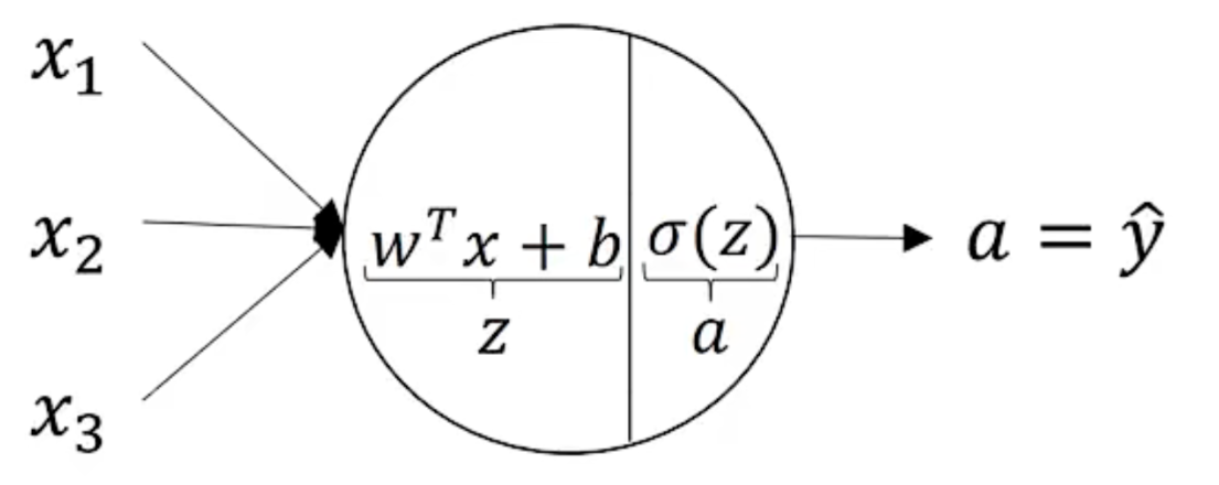 image-20250701011619617